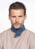 The Twilly Tie Blue Burgundy