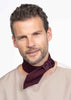 The Twilly Tie Burgundy