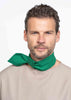 The Twilly Tie Green